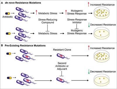 Resistance-resistant antibacterial treatment strategies